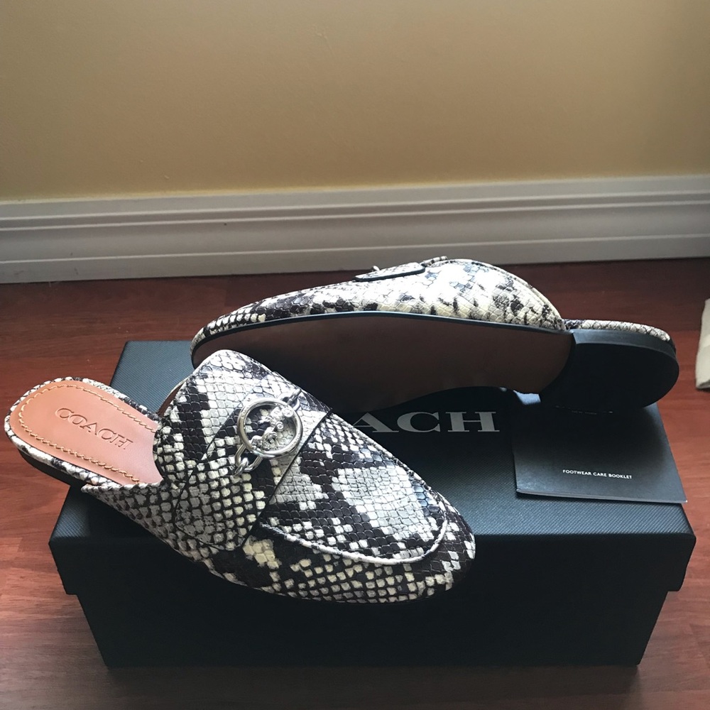 Coach shoes
